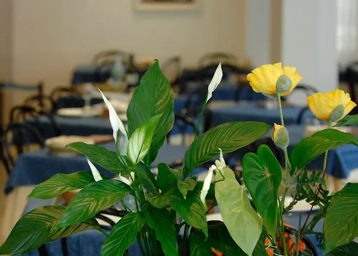 Sorriso 3* Cattolica