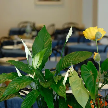 Sorriso 3* كاتوليكا