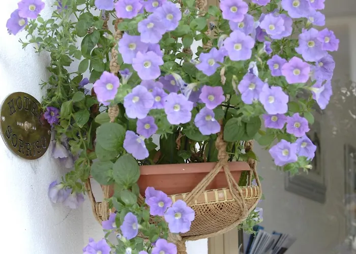 Sorriso كاتوليكا